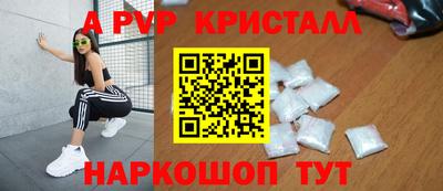 spice Кингисепп