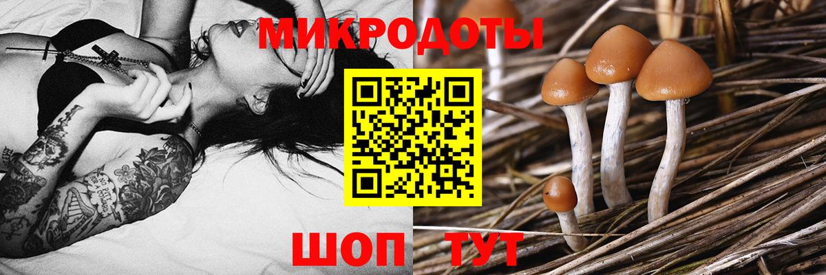 Галлюциногенные грибы мицелий Котлас